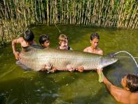 post-32215-0-68777500-1289247886_thumb.j