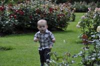 post-47878-0-00197500-1288570008_thumb.j