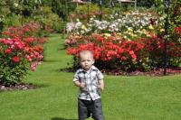 post-47878-0-55461900-1288569887_thumb.j