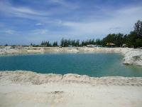 post-56008-0-54365200-1289012469_thumb.j