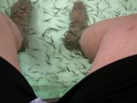 post-6591-0-48871300-1289278891_thumb.jp