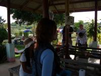 post-72121-0-77609400-1291019470_thumb.j