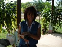 post-72121-0-85884600-1291019935_thumb.j