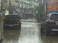 post-83584-0-32279500-1288796684_thumb.j