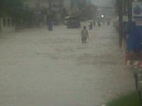 post-83584-0-35351100-1288796245_thumb.j