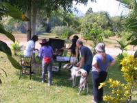 post-110702-0-76459300-1322406476_thumb.