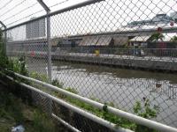 post-137105-0-22373600-1320491016_thumb.