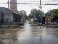 post-143115-0-09548300-1320565897_thumb.