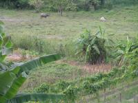 post-18822-0-10469500-1322457465_thumb.j