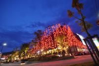 post-21351-0-23835000-1320893202_thumb.j