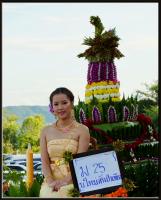 post-29230-0-70314200-1320903423_thumb.j