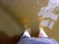 post-32175-0-09817100-1320479215_thumb.j