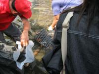 post-32175-0-68427100-1320208452_thumb.j