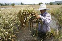 post-35218-0-10110700-1320393692_thumb.j