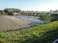 post-42984-0-04389800-1321445468_thumb.j