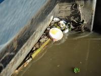 post-42984-0-30291400-1321445513_thumb.j