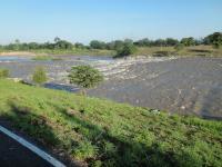 post-42984-0-89777700-1321445571_thumb.j