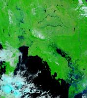 post-54111-0-72004100-1320240707_thumb.j