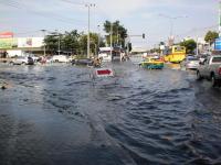 post-57955-0-22672500-1320579842_thumb.j