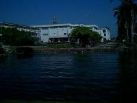 post-6428-0-18557600-1322307363_thumb.jp