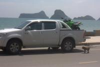 post-81971-0-51998700-1321255914_thumb.j