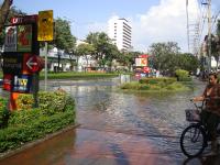 post-85204-0-75189800-1320240081_thumb.j