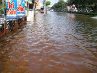 post-85204-0-77919000-1320240251_thumb.j