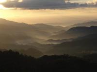 post-104736-0-61878600-1353897829_thumb.