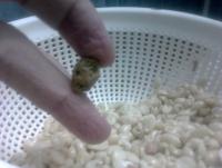 post-11669-0-15214900-1352280809_thumb.j