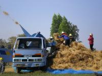 post-119894-0-86929400-1353391883_thumb.