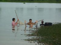 post-126208-0-61921400-1352617250_thumb.