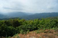 post-136159-0-13521100-1353227638_thumb.