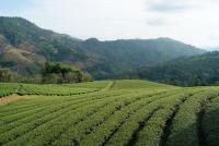 post-136159-0-47282200-1353227724_thumb.