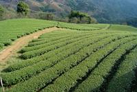 post-136159-0-52663600-1353227691_thumb.