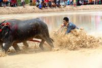 post-145721-0-86244400-1353337191_thumb.