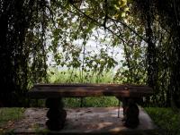 post-150317-0-02305600-1353397111_thumb.