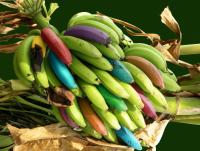 post-150317-0-68644300-1353244398_thumb.