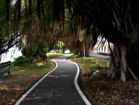 post-150317-0-72254200-1353397090_thumb.