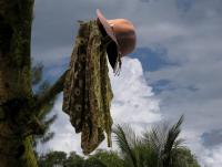 post-150317-0-75196900-1353244592_thumb.