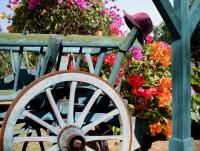 post-150317-0-85190300-1353397003_thumb.