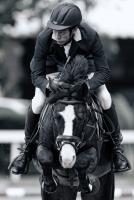 post-152667-0-73160800-1353932730_thumb.