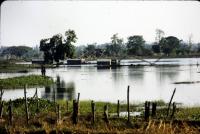 post-157810-0-06518400-1353823638_thumb.