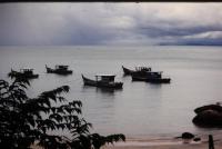 post-157810-0-37171200-1353823648_thumb.