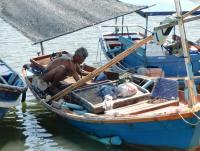 post-162847-0-49854400-1353146401_thumb.