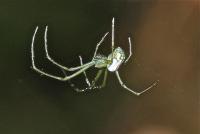 post-16612-0-98964600-1352165847_thumb.j