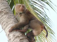 post-167599-0-77287100-1353643643_thumb.