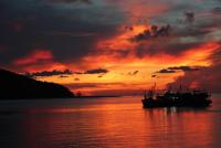 post-167599-0-88704000-1353643515_thumb.