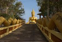 post-17935-0-53819600-1353092548_thumb.j