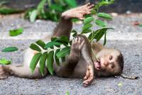 post-17935-0-89047400-1353092848_thumb.j