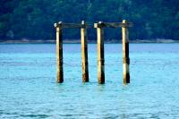 post-45739-0-20533500-1353127584_thumb.j